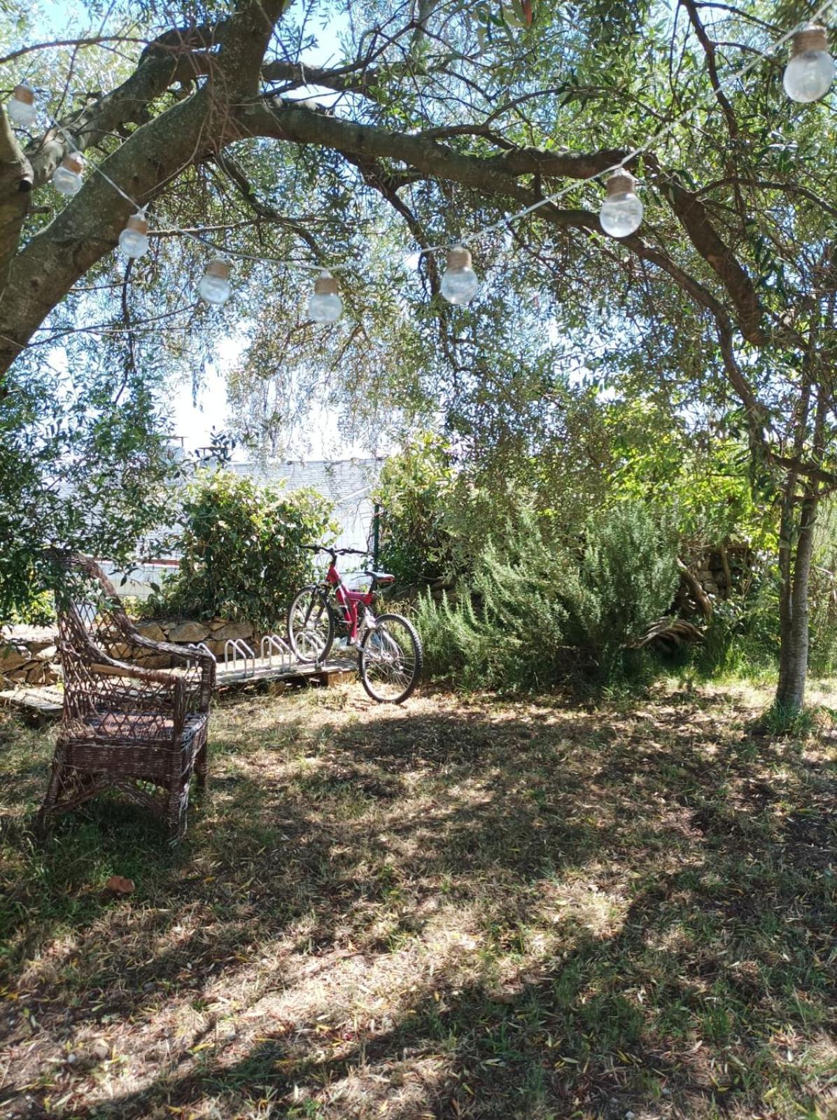 Garden * Castro Urdiales